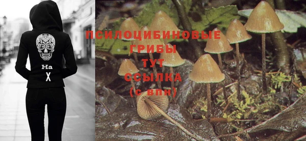 COCAINE Осинники